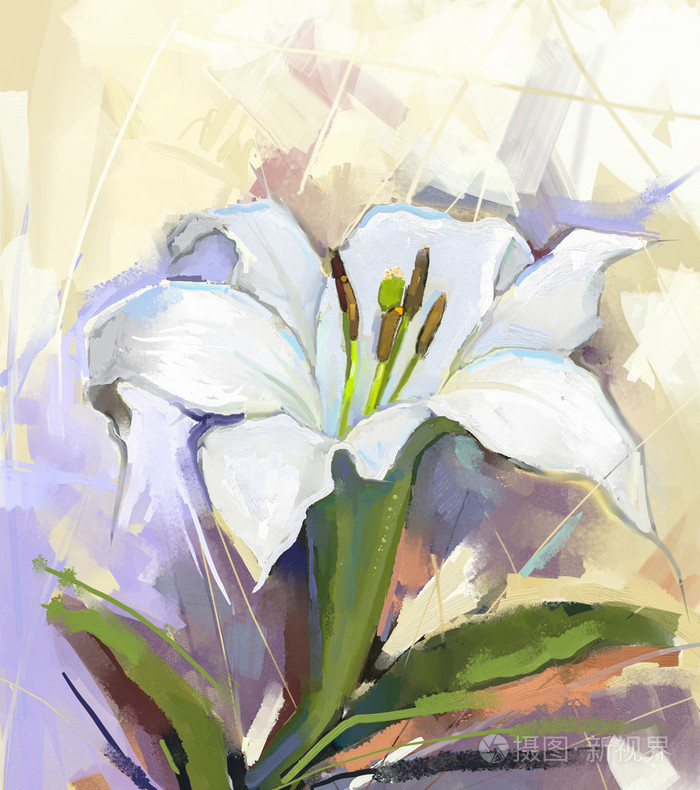 白色的百合花.花卉油画