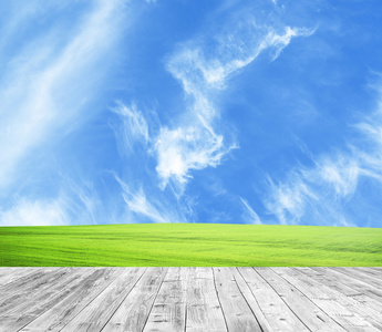清新春天绿草与蓝蓝的天空和木地板