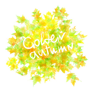矢量水彩秋天叶子枫叶植物