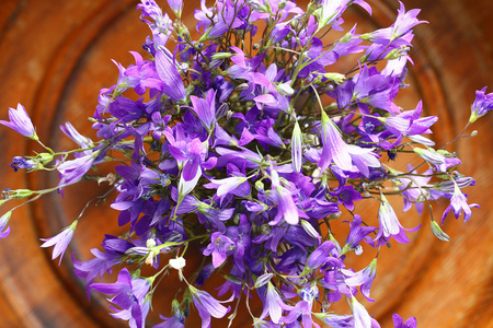 紫色铃铛花花束