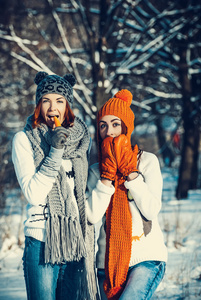 两个女孩的朋友，在冬季户外