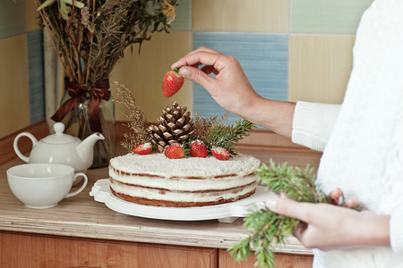 冬季圣诞椰子饼系列。用草莓 椰子和森林锥装饰