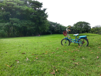 自行车在公园 H.D.R