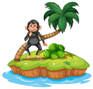猴子和岛屿