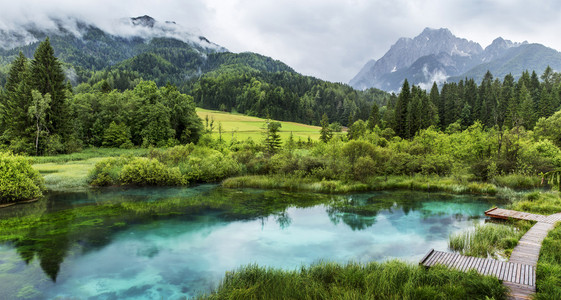 Zelenci 屈 Gora Triglav 国家公园附近的池塘