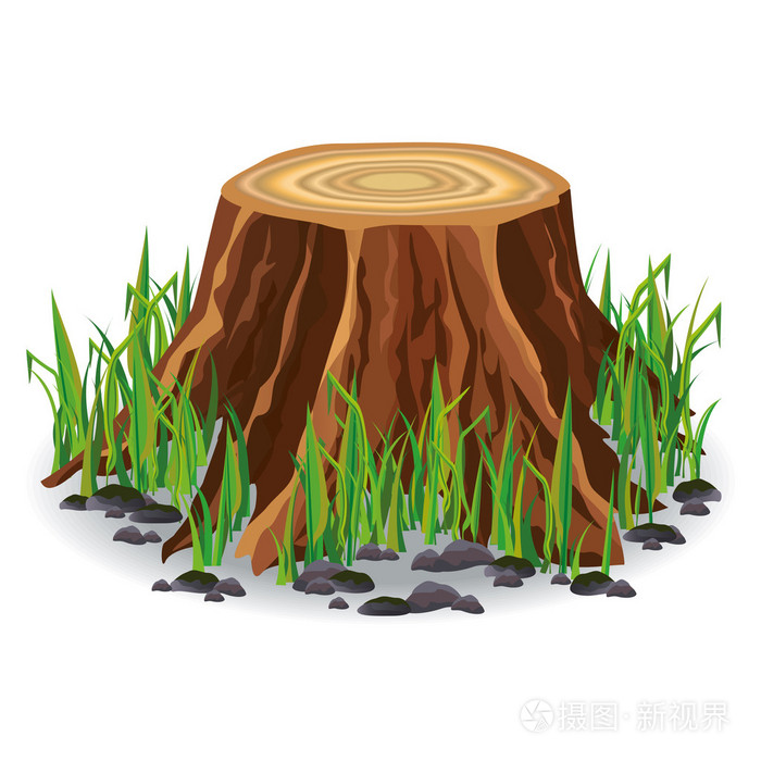 长满绿草的树桩