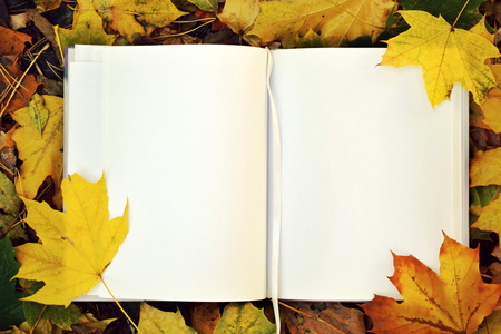 一本空白笔记本覆盖着秋天的落叶