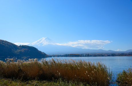 富士山和河口湖