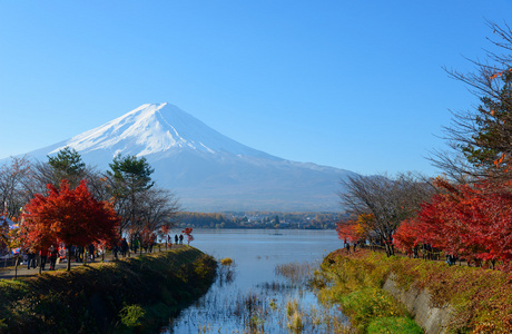 富士山和秋天在河口湖