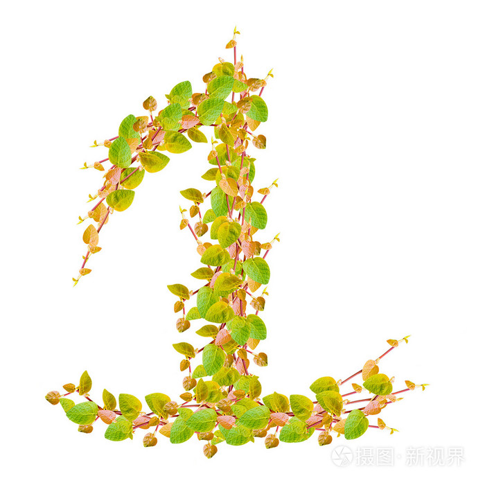 数字1,字母的绿色的树叶