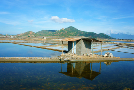 美丽的风景，盐渍提起，越南农村