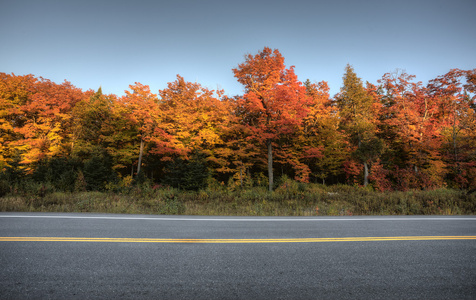 秋天的色彩和路