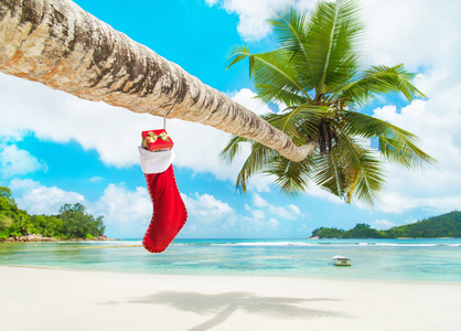 圣诞节袜子与棕榈树的礼物