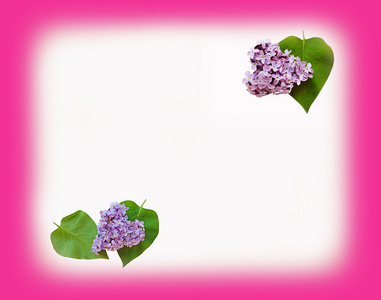 树叶和花瓣淡紫色心形 情人节那天，2 月