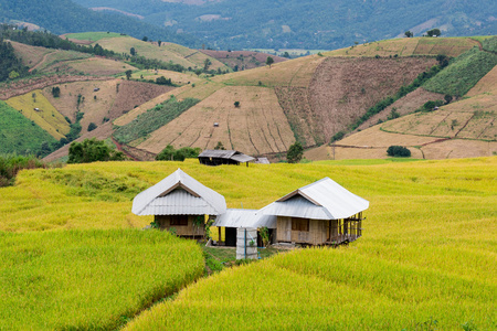 在泰国北部，Pa pong 小屋，蒋梯田