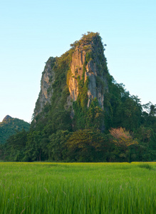 岩山风景