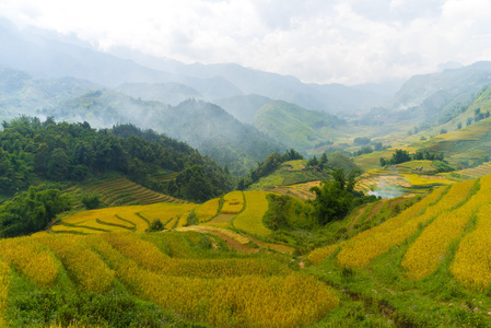 美丽的山视图包含梯田