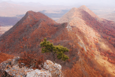 落在山中