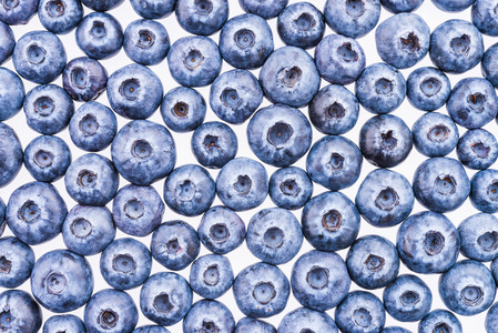 蓝莓背景