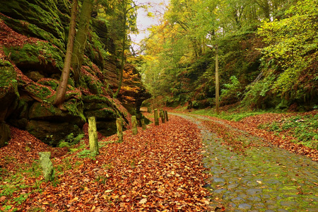 老鹅卵石石方式衬以石质里程碑在深沟在秋天的树林。旧的橙色树叶遮住地面
