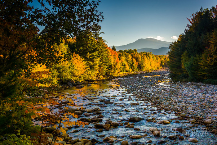 在白色山国家的皮博迪河边的秋天颜色