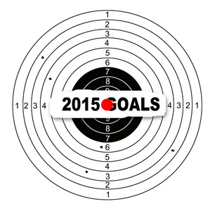 2015 年的目标
