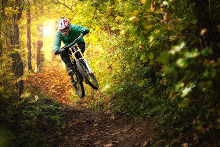 山地自行车骑自行车的人森林下坡秋天