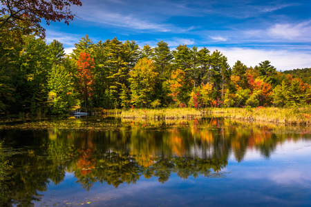 在贝尔法斯特，缅因州附近的北池塘早期秋天颜色