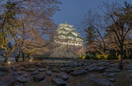 名古屋城堡与樱花