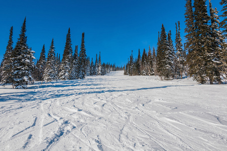 山地森林步道滑雪坡