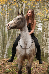 迷人的女孩，长头发，骑一匹马