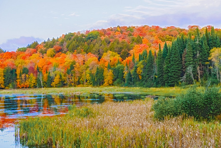 阿冈昆公园，安大略省，加拿大的秋天色彩