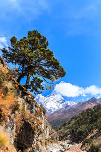 在喜马拉雅山风光