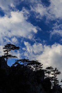 在特兰西瓦尼亚阿尔卑斯山的风景