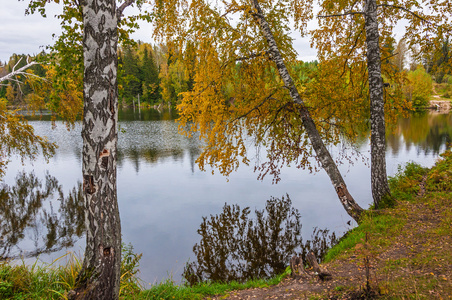 秋天的风景，湖上有桦树的倒影和森林。