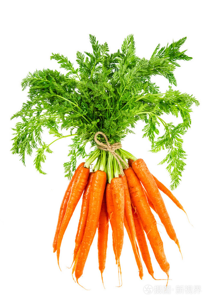 绿色的叶子的新鲜胡萝卜蔬菜食品