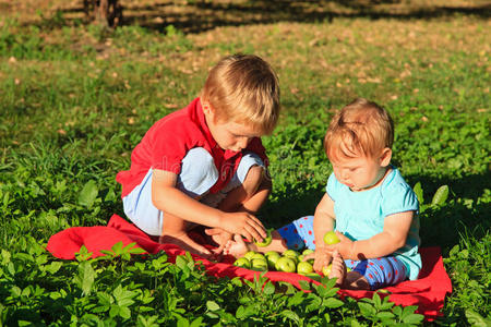 夏日公园里的孩子们在分拣苹果
