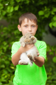 手里拿着一只兔子的小男孩