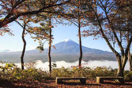 与秋天颜色在日本富士山