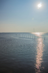 太阳光照在海