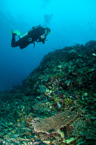潜水员和各种珊瑚礁在吉利，龙目岛，努沙登加拉巴拉，印度尼西亚水下照片