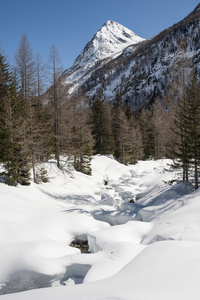 山风景