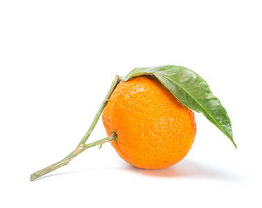 在白色背景上的柑橘类水果