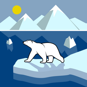 北极熊在浮冰，极地景观