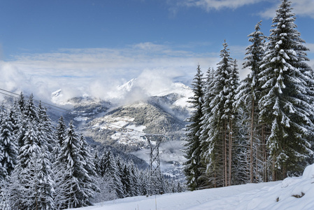 高山滑雪度假村森林景观