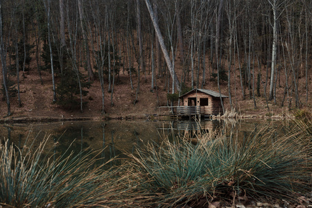 山中小屋中反射