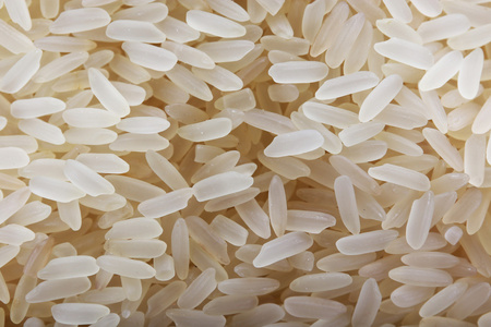 水稻籽粒背景