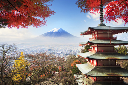 与秋天颜色在日本富士山