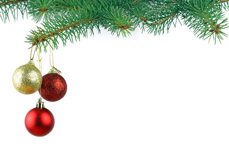 常绿云杉圣诞树和红色玻璃球图片