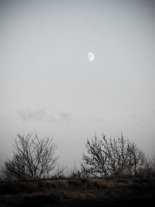 冬季日落, 月亮和飞机在天空中的足迹。老式
